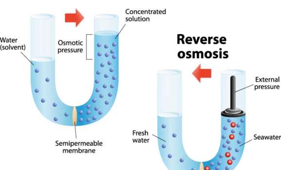 Osmose vs. Umkehrosmose - was ist der Unterschied zwischen Osmose und Umkehrosmose?